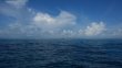 Wednesday October 15th 2014 Tropical Odyssey: North Star reef report photo 1