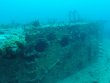 Sunday November 17th 2019 Tropical Odyssey: USCGC Duane reef report photo 1