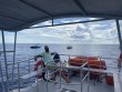 Saturday July 4th 2020 Tropical Odyssey: Spiegel Grove reef report photo 1