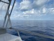 Sunday July 5th 2020 Tropical Odyssey: Spiegel Grove reef report photo 1