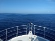 Wednesday July 15th 2020 Tropical Odyssey: USCGC Bibb reef report photo 1