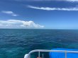 Sunday July 10th 2022 Tropical Serenity: Double North reef report photo 1