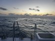 Tuesday May 7th 2024 Tropical Serenity: Benwood Wreck reef report photo 1
