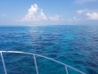 Thursday July 26th 2018 Tropical Serenity: North Star reef report photo 1