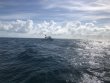 Saturday August 4th 2018 Tropical Serenity: Eagle Ray Alley reef report photo 1