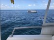 Tuesday September 25th 2018 Tropical Serenity: Christ Statue reef report photo 1