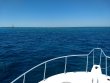 Friday March 22nd 2019 Tropical Serenity: North Star reef report photo 1