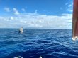 Saturday November 28th 2020 Tropical Voyager: Drift Molasses reef report photo 1