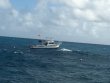 Monday December 28th 2015 Tropical Voyager: Eagle Ray Alley reef report photo 1