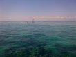 Saturday April 26th 2014 Tropical Voyager: Molasses Reef reef report photo 1