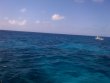 Monday May 26th 2014 Tropical Voyager: Molasses Reef reef report photo 1