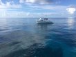 Saturday August 20th 2016 Tropical Voyager: Molasses Reef reef report photo 1