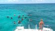 Wednesday June 25th 2014 Tropical Voyager: Molasses Reef reef report photo 1