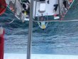 Sunday July 9th 2017 Tropical Voyager: Pickle Barrel Wreck reef report photo 1