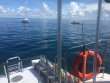 Sunday July 16th 2017 Tropical Voyager: Drift French reef report photo 1