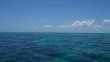 Sunday July 27th 2014 Tropical Voyager: Pickle Barrel Wreck reef report photo 1