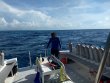 Saturday June 30th 2018 Tropical Voyager: Molasses Reef reef report photo 1