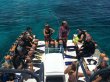 Monday August 11th 2014 Tropical Voyager: Banana Patch reef report photo 2
