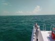 Wednesday July 25th 2018 Tropical Voyager: Pickles Reef reef report photo 1