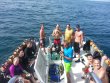 Saturday August 16th 2014 Tropical Voyager: Woodys reef report photo 1