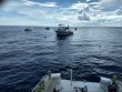 Saturday July 4th 2020 Tropical Voyager: Spiegel Grove reef report photo 1