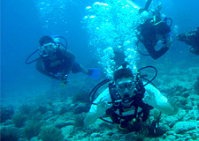 Advanced Open Water Dive Course image