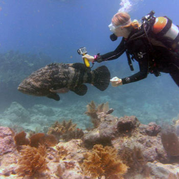 Fire Coral Cave photo