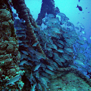 Smoke Stack photo