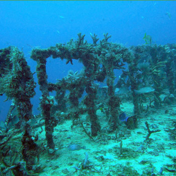 Starboard Stern photo