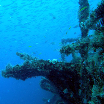 Starboard Stern photo