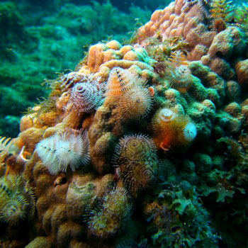 Undersea Highway photo