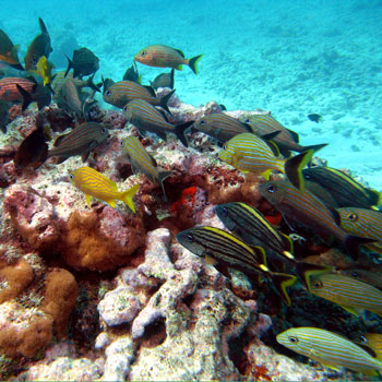 Undersea Highway photo