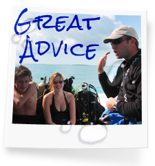 Or dive guides give great advice image