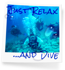 Or dive guides give great advice image