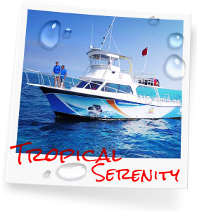 Tropical Serenity photo, part of our customized dive fleet in the Florida Keys, Key Largo