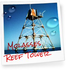 Photo of Molasses Reef Tower in the Florida Keys, Key Largo