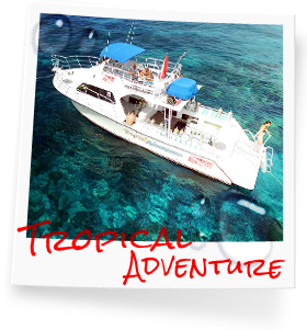 Tropical Adventure photo, part of our customized dive fleet in the Florida Keys, Key Largo