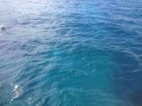 Great day of scuba diving in Key Largo with Rainbow Reef on benwood wreck tropical voyager 2013 12 03 r88 1