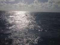 Great day of scuba diving in Key Largo with Rainbow Reef on christmastree cave tropical voyager 2013 12 07 r93 4