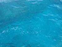 Great day of scuba diving in Key Largo with Rainbow Reef on eagle ray alley tropical adventure 2013 12 14 r102 4