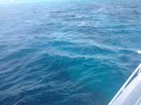 Great day of scuba diving in Key Largo with Rainbow Reef on eagle ray alley tropical adventure 2013 12 16 r105 3