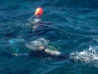 Great day of scuba diving in Key Largo with Rainbow Reef on eagle ray alley tropical adventure 2013 12 23 r109 2