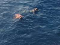 Great day of scuba diving in Key Largo with Rainbow Reef on eagle ray alley tropical adventure 2013 12 30 r116 1