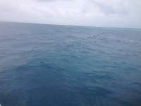 Great day of scuba diving in Key Largo with Rainbow Reef on french reef tropical adventure 2013 12 29 r115 1