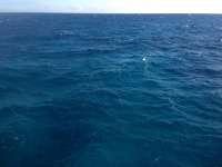 Great day of scuba diving in Key Largo with Rainbow Reef on hole in the wall tropical voyager 2013 12 18 r108 1