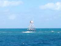 Great day of scuba diving in Key Largo with Rainbow Reef on molasses reef tropical adventure 2013 12 13 r101 1