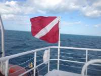Great day of scuba diving in Key Largo with Rainbow Reef on snapper ledge tropical adventure 2013 12 13 r100 1