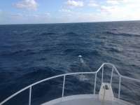 Great day of scuba diving in Key Largo with Rainbow Reef on snapper ledge tropical adventure 2013 12 13 r100 2