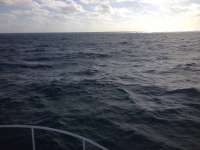 Great day of scuba diving in Key Largo with Rainbow Reef on snapper ledge tropical adventure 2013 12 13 r100 3