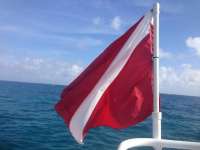 Great day of scuba diving in Key Largo with Rainbow Reef on snapper ledge tropical adventure 2013 12 15 r104 1